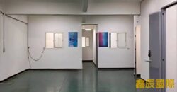 B06906 租~新莊面寬透天廠房