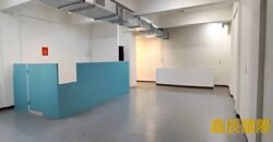 B06906 租~新莊面寬透天廠房