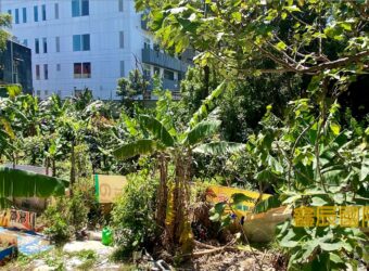 A7671 售~板橋工業用地