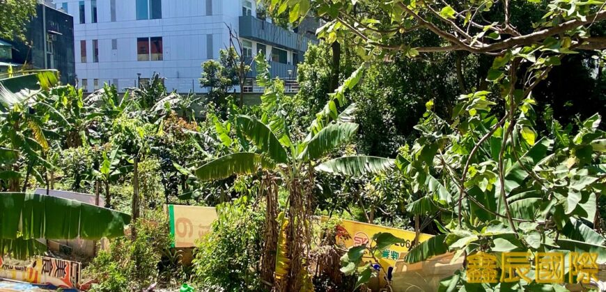 A7671 售~板橋工業用地