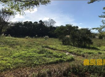 A7689 售~龍潭窯業用地