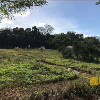 A7689 售~龍潭窯業用地