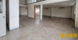 A7699 售~龜山工四獨棟挑高廠