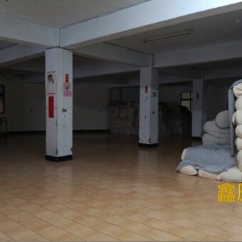 B07044 樹林大安透天廠