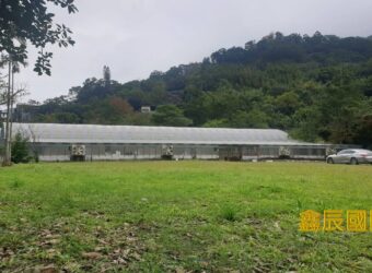 A7803 售~大板根園藝露營園區