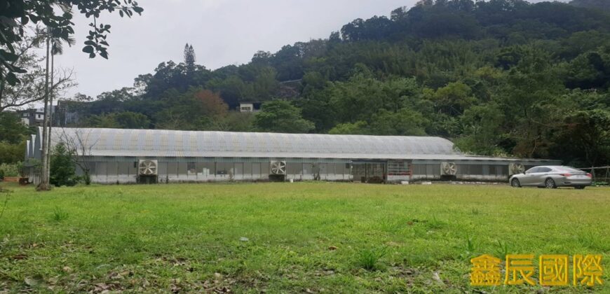 A7803 售~大板根園藝露營園區